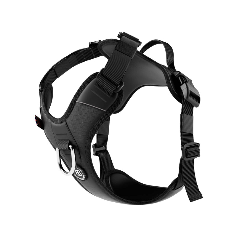 The Stride — Side view