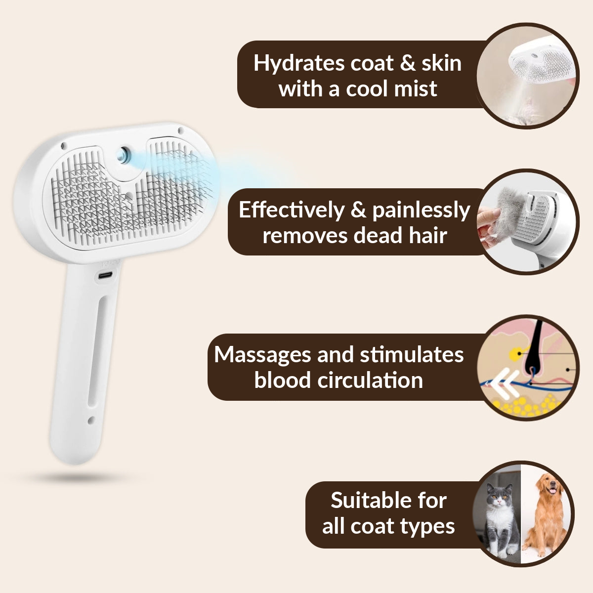 The Steam — Steam brush in use on dog coat