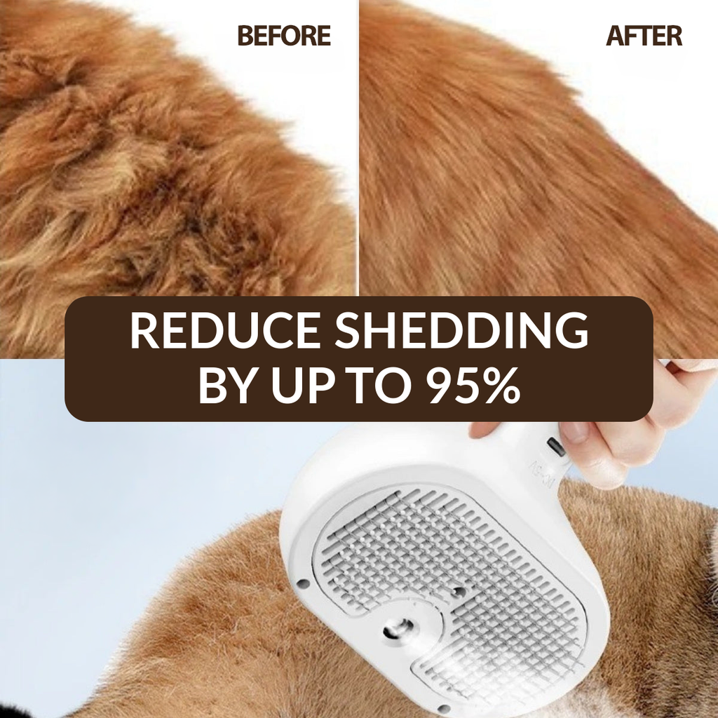 The Steam — Interchangeable brush heads close-up