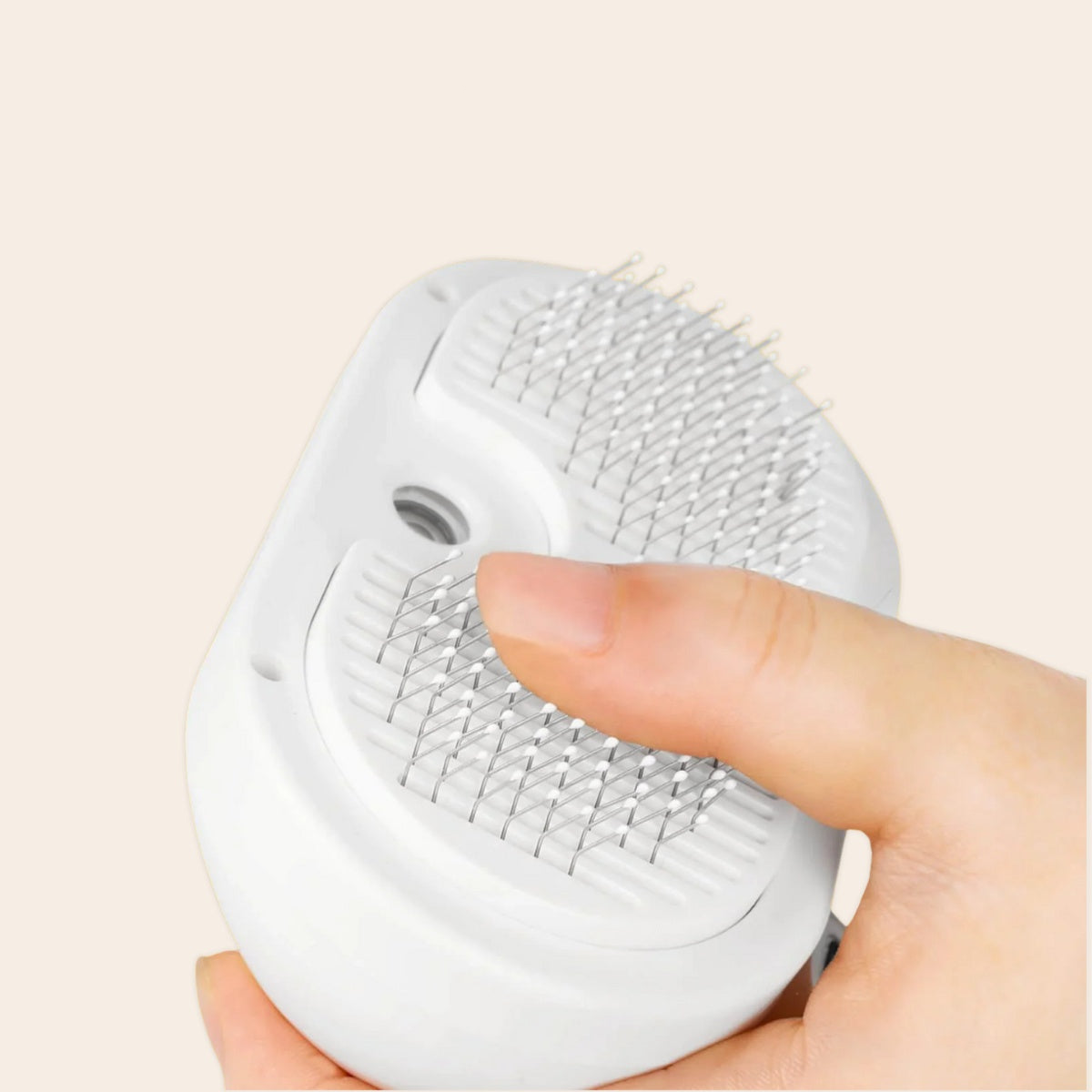 The Steam — One-click self-cleaning feature