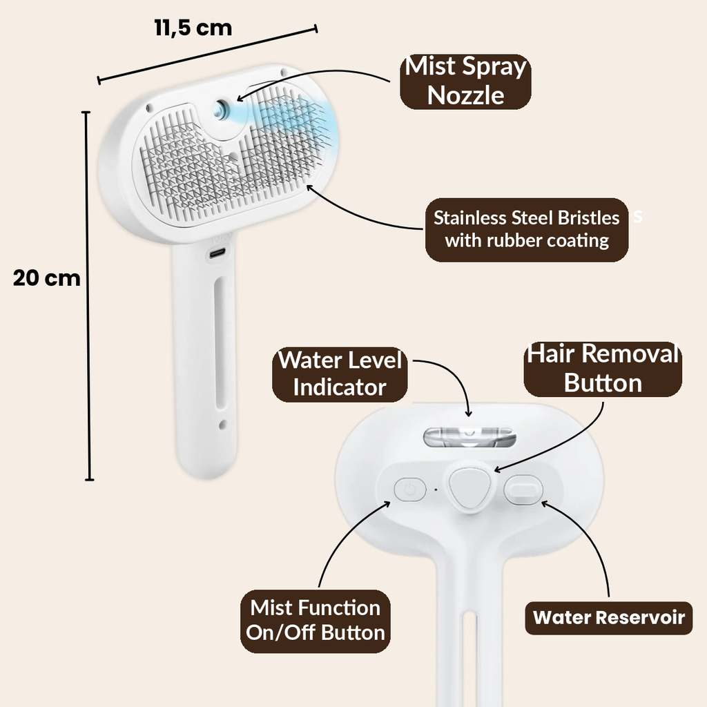 The Steam — USB-C charging and brush head attachments